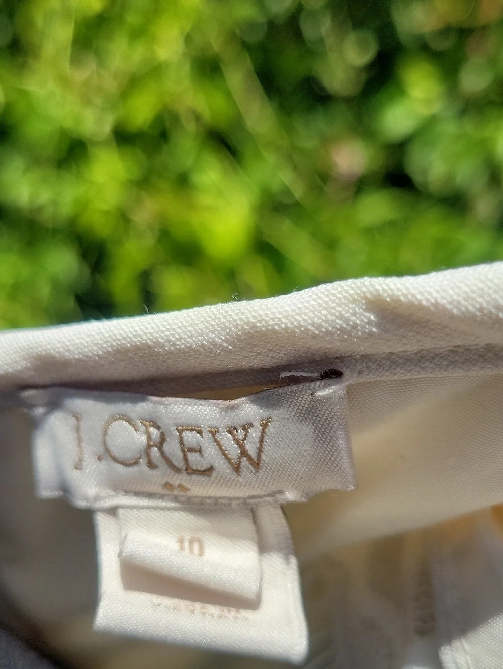 J. Crew Cream Women's Dress With Lace Sleeves Sz  10